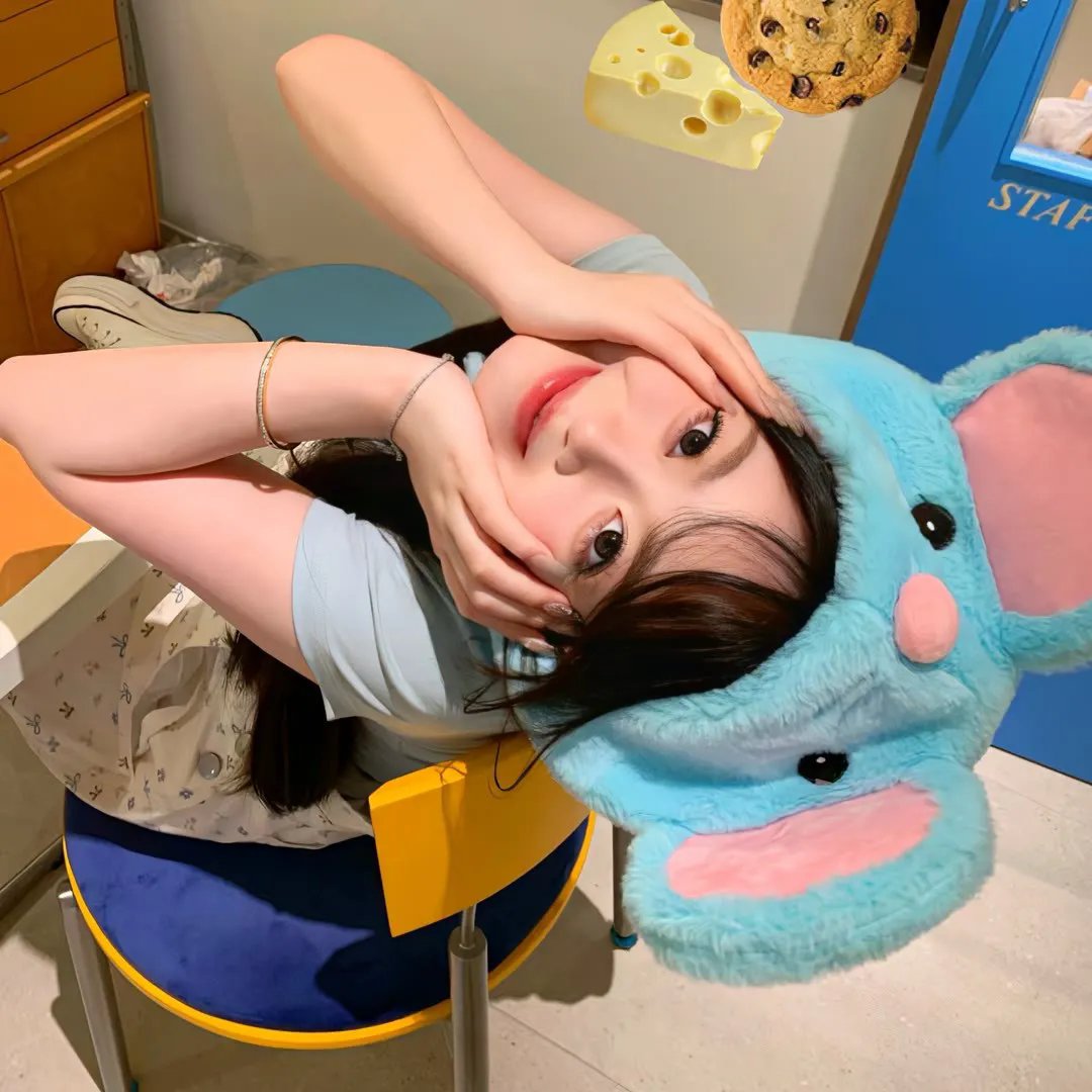 娜娜的玫瑰战争